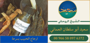 ارجاع الحبيب بسرعة