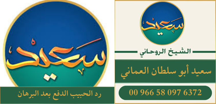رد الحبيب الدفع بعد البرهان
